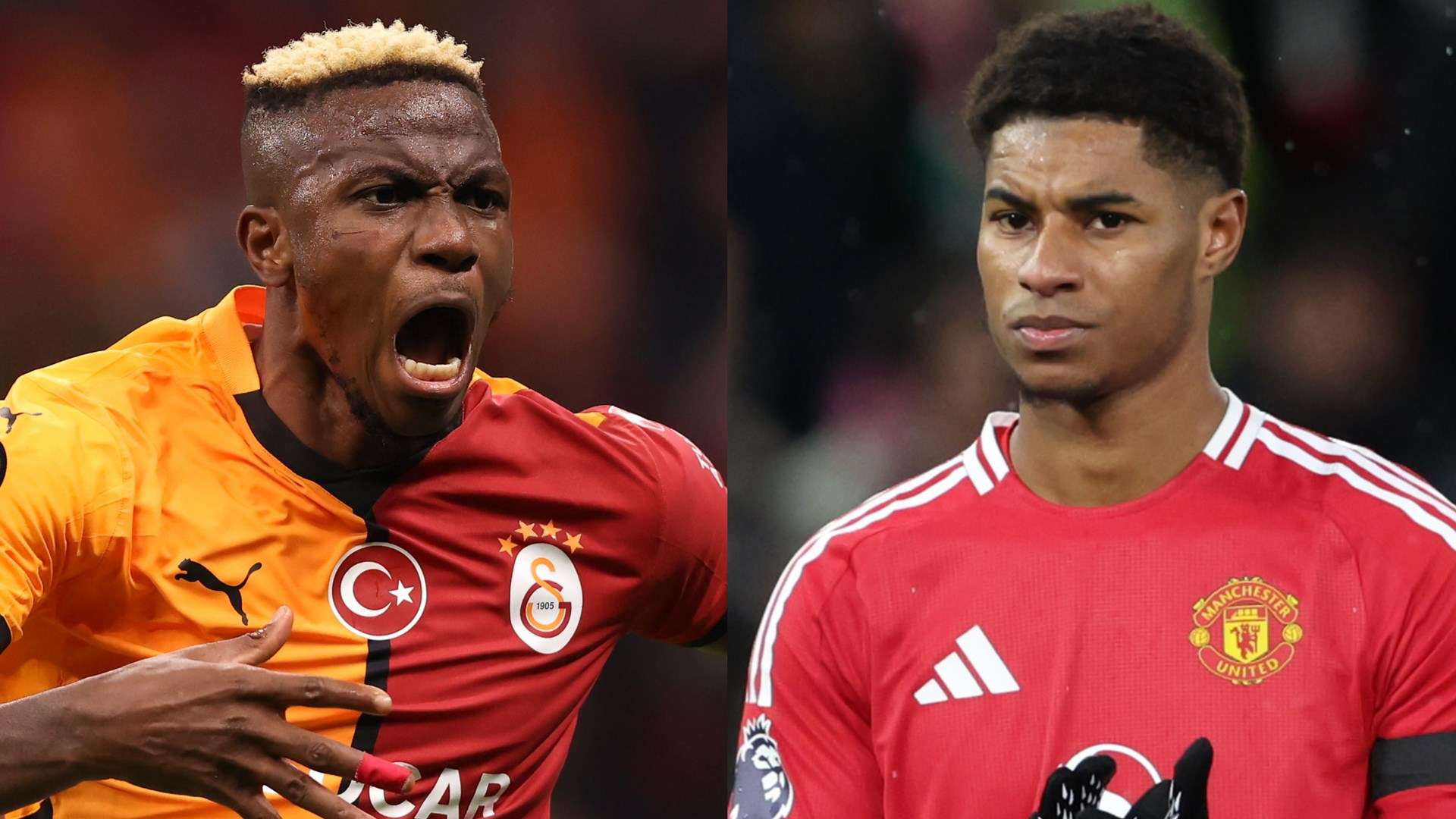 象征着该国 象征着该国