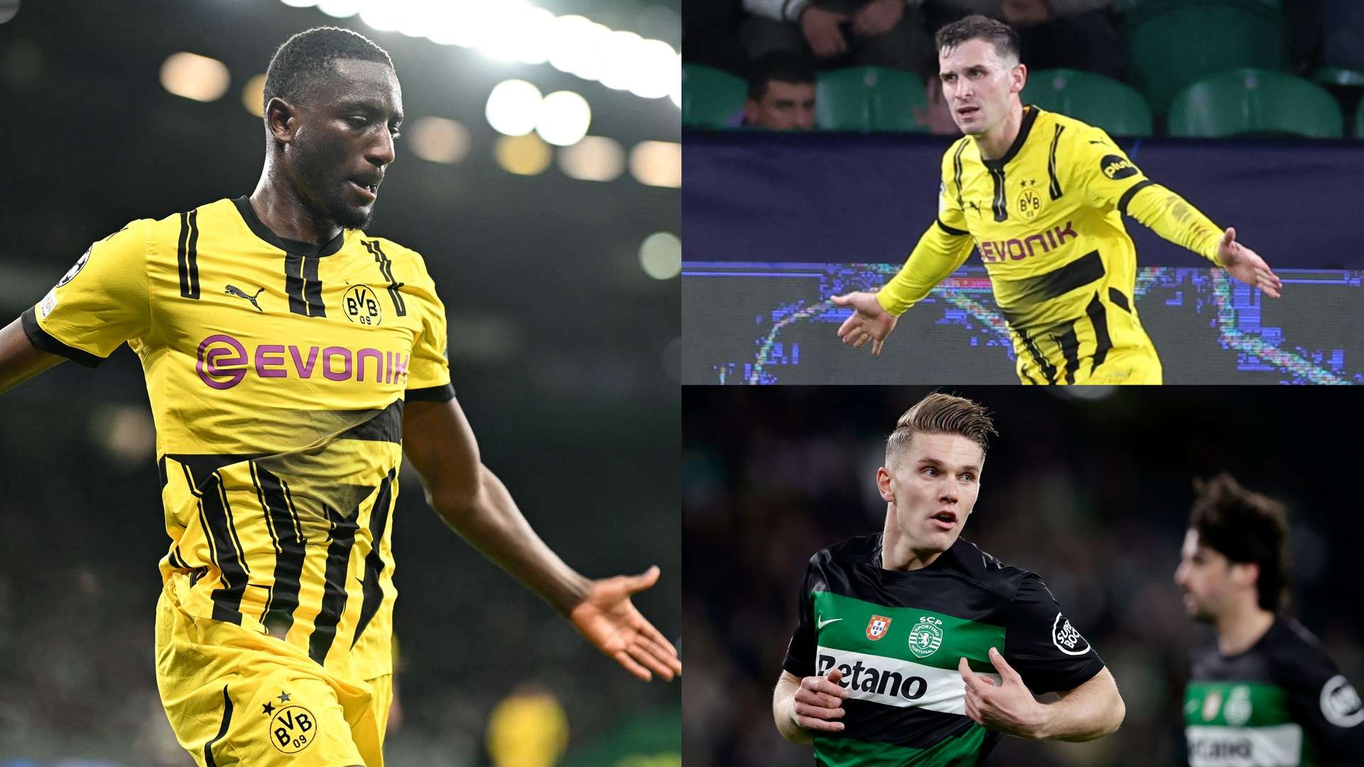 犯版权行为 犯版权行为